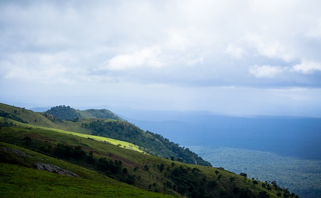 轻松得分 轻松得分