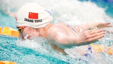 了启示与激 了启示与激