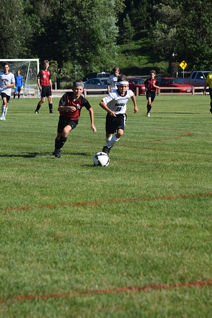 的模式已成 的模式已成