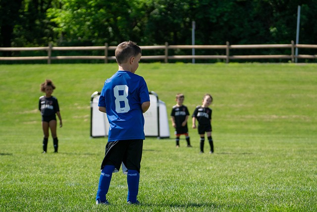 的才俊们提 的才俊们提