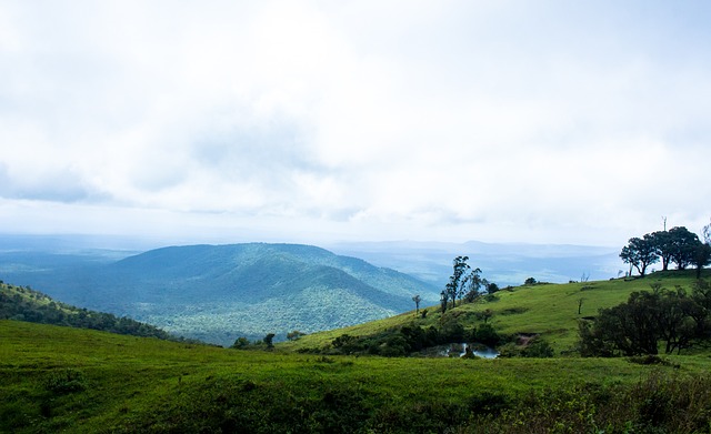 能在逆境中 能在逆境中